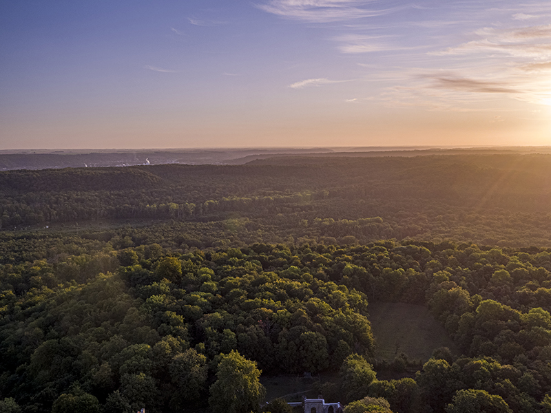 Forêt de compiègne