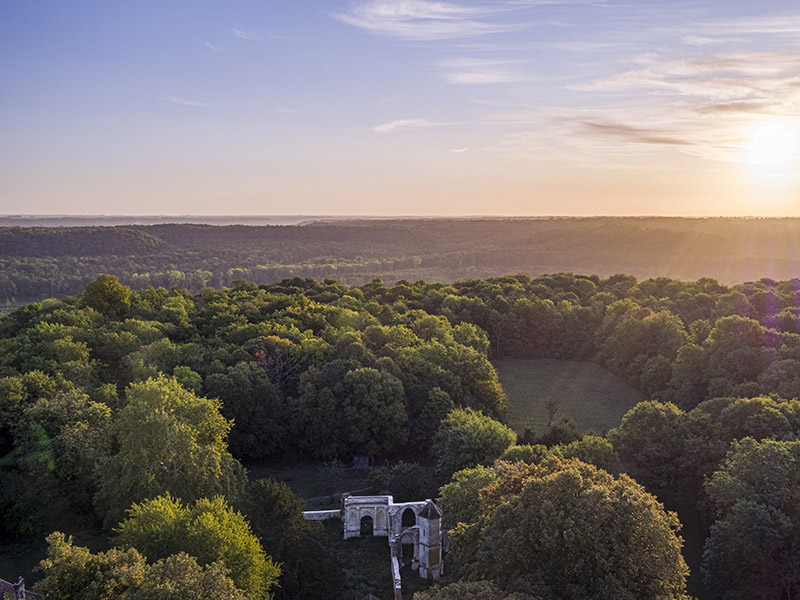 Forêt de compiègne